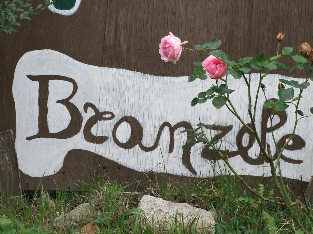Bed and Breakfast Casa Branzele Trezzo Tinella Exterior foto