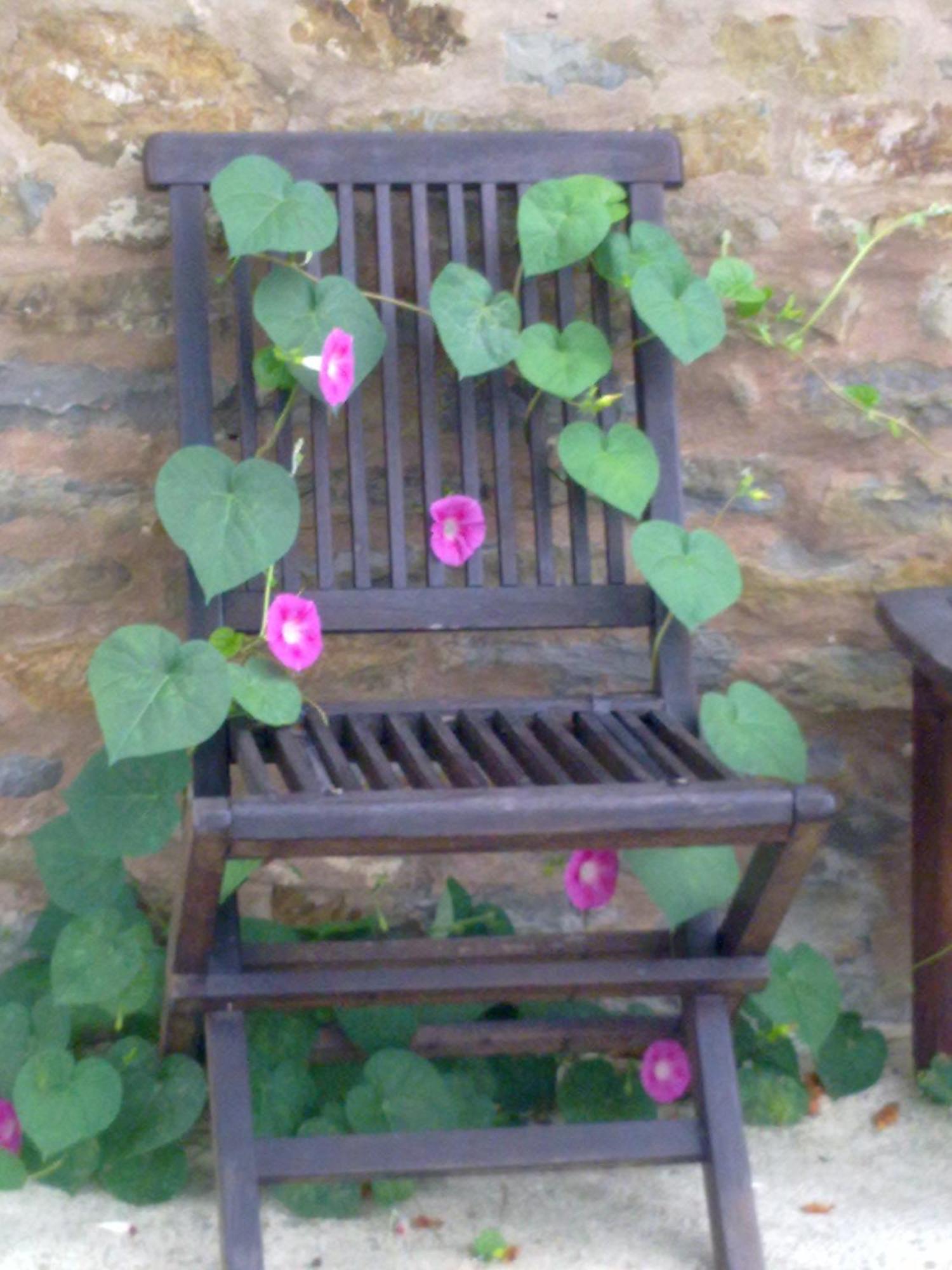Bed and Breakfast Casa Branzele Trezzo Tinella Exterior foto