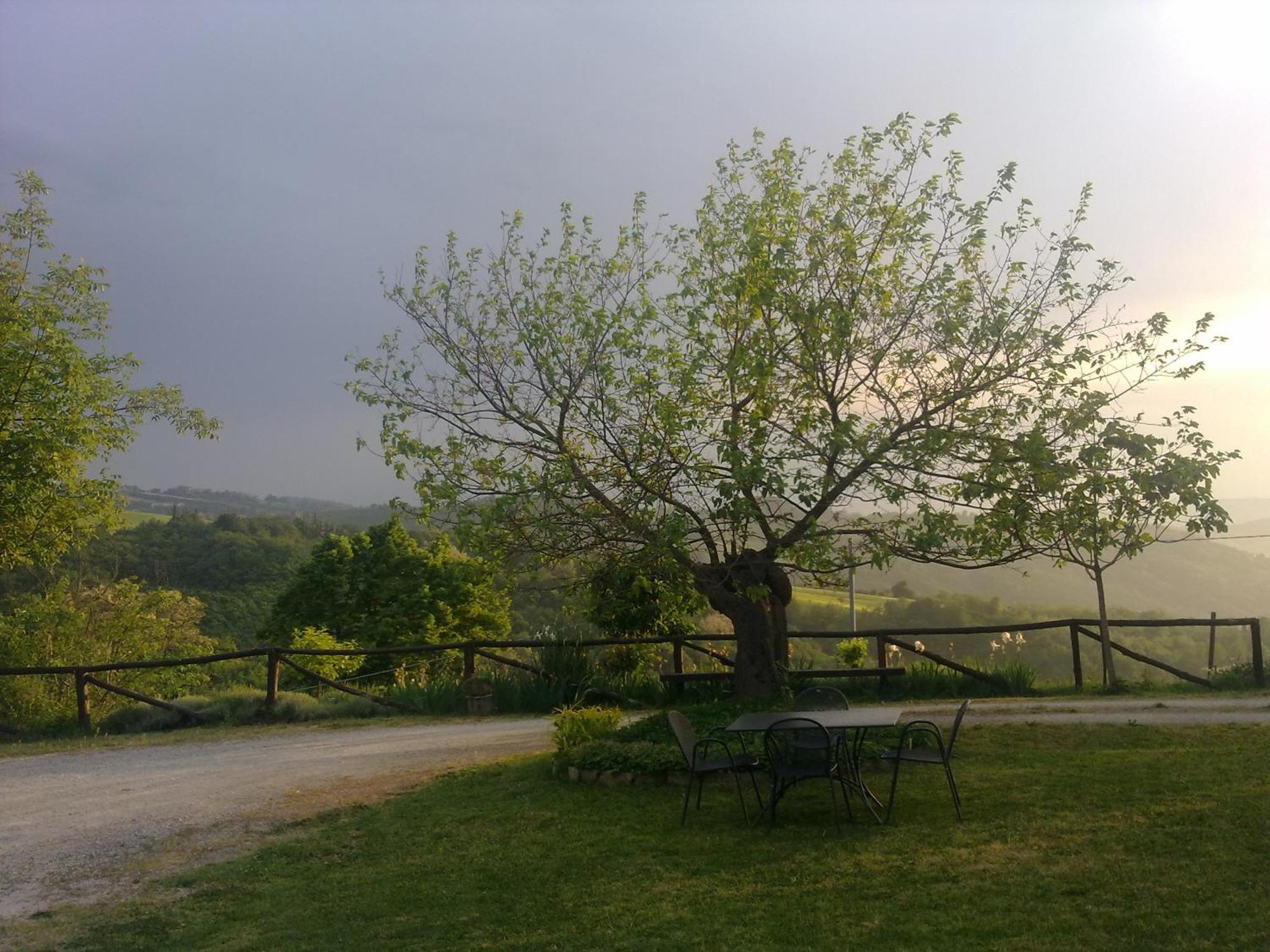 Bed and Breakfast Casa Branzele Trezzo Tinella Exterior foto